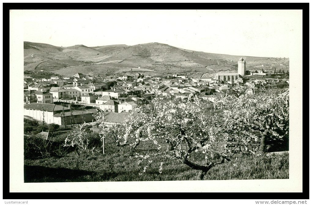 FREIXO DE ESPADA A CINTA   Carte Postale - Bragança