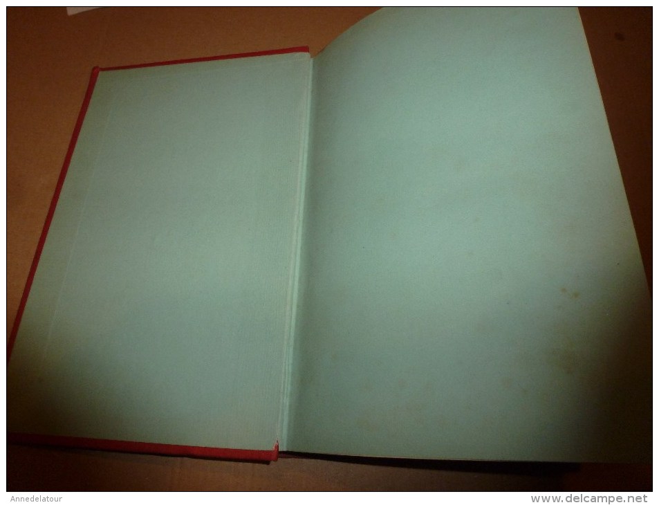 1882 Nos ALPES :Castellane,Chillon,Lac Du Bourget,Drumettaz,Sisteron,Albertville,Cagnes,Cannes,Mont-Dore-l-B,Evian,etc - 1801-1900