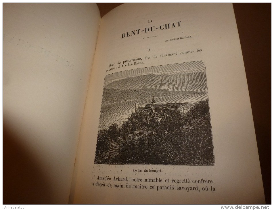 1882 Nos ALPES :Castellane,Chillon,Lac du Bourget,Drumettaz,Sisteron,Albertville,Cagnes,Cannes,Mont-Dore-l-B,Evian,etc