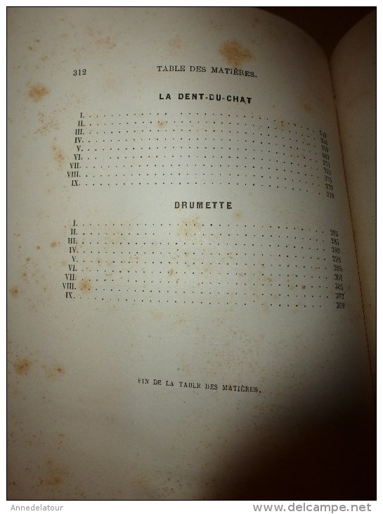 1882 Nos ALPES :Castellane,Chillon,Lac du Bourget,Drumettaz,Sisteron,Albertville,Cagnes,Cannes,Mont-Dore-l-B,Evian,etc