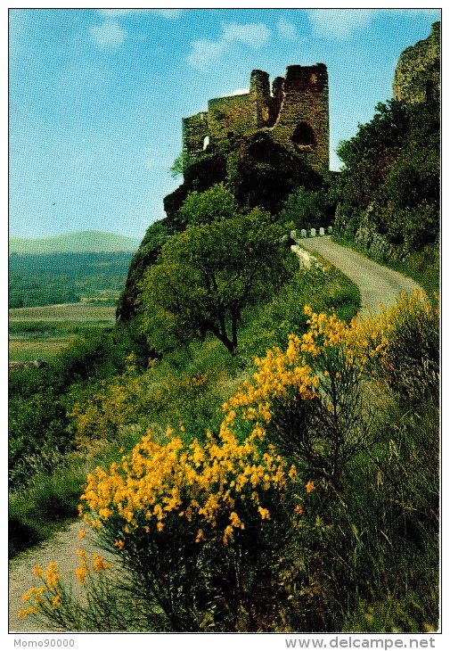 ROCHEMAURE : Ruines De L'ancien Château Féodal, Dominant La Vallée Du Rhône - Rochemaure