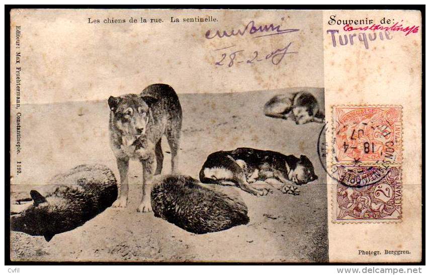 FRENCH OFFICE IN TURKEY/ LEVANT 1907 - P. Card From Constantinople To Nictheroy - Storia Postale