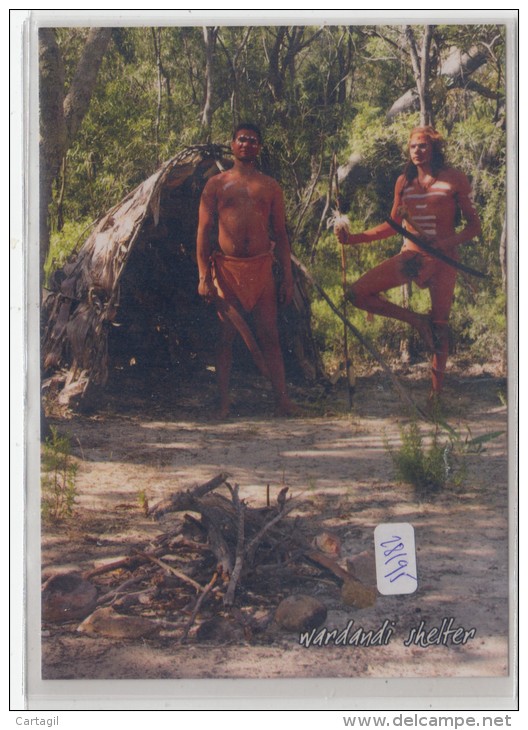 CPM GF - Australie Indijup - Guides Wardandi Haywood Et Ugle - Aborigines