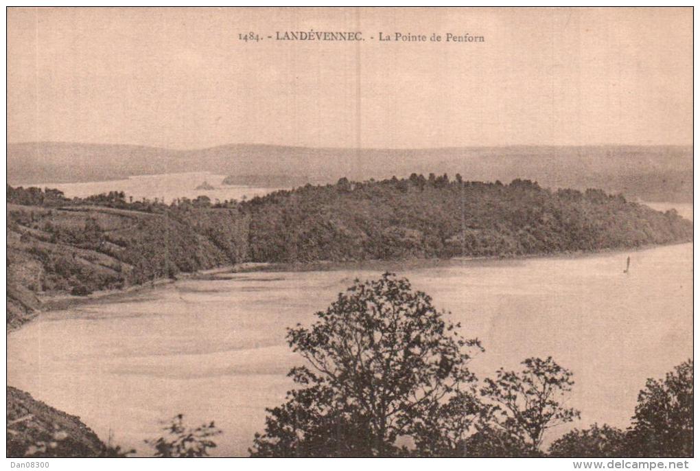 29 LANDEVENNEC LA POINTE DE PENFORN PAS CIRCULEE - Landévennec