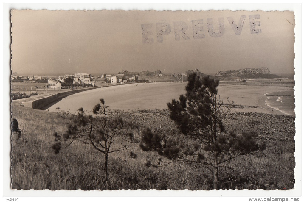 CPA - Trégastel Primel - La Plage - Environs De Plougasnou - ( Carte épreuve ) - Primel