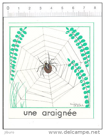 Illustration De Manon Lessel / Insecte Araignée / Spider Insect / Toile D'araignée / IM 69/3-A - Autres & Non Classés