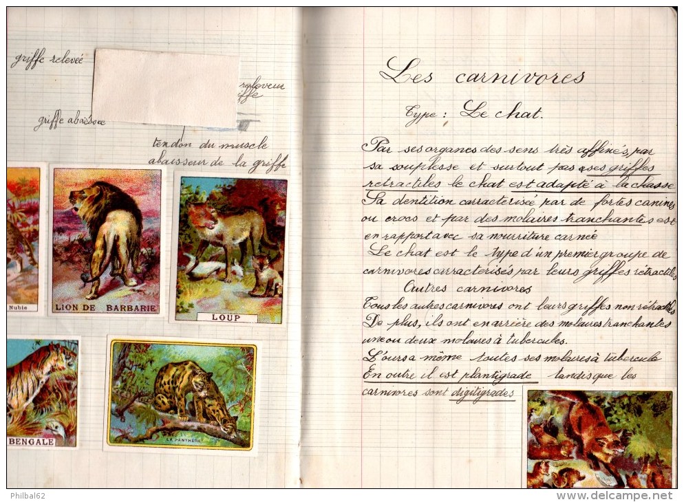 Cahier De Sciences. Lycée Ampère, Annexe De Perrache, Classe 6ème, Année 1936-37. Images Et Chromos En Illustration. - Diplômes & Bulletins Scolaires