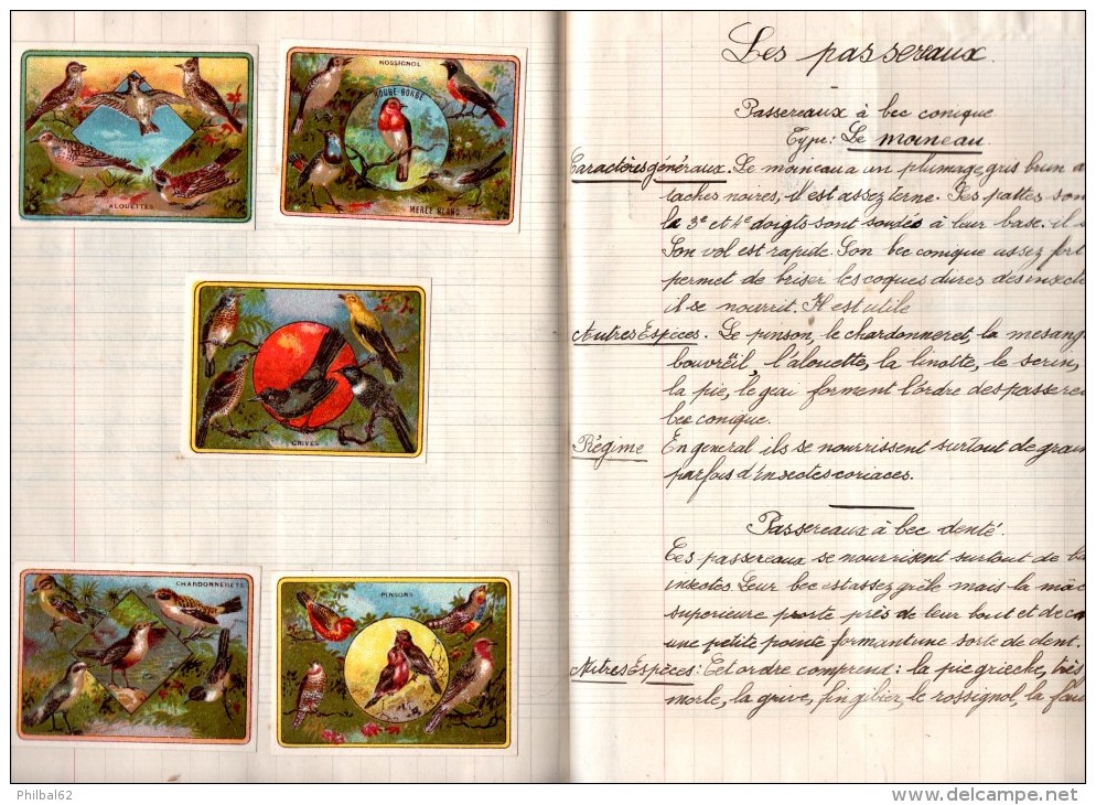 Cahier De Sciences. Lycée Ampère, Annexe De Perrache, Classe 6ème, Année 1936-37. Images Et Chromos En Illustration. - Diplômes & Bulletins Scolaires