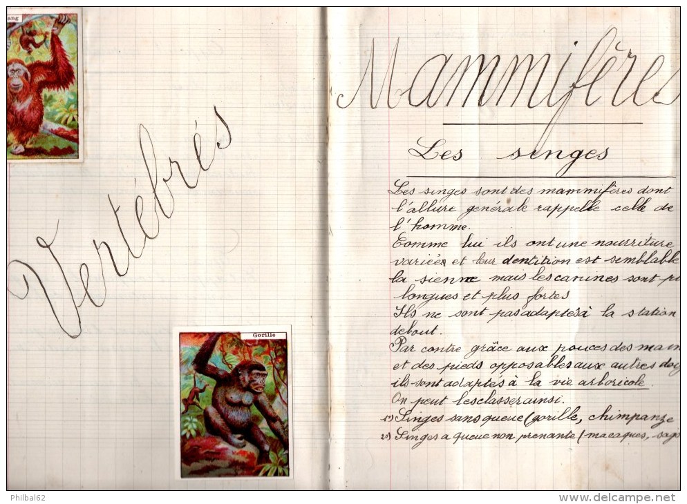 Cahier De Sciences. Lycée Ampère, Annexe De Perrache, Classe 6ème, Année 1936-37. Images Et Chromos En Illustration. - Diplômes & Bulletins Scolaires