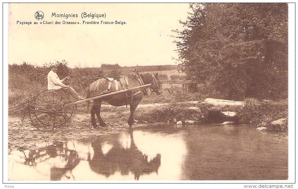 Momignies  Paysage Au Chant Des Oiseaux  Frontiére Franco-Belge - Momignies