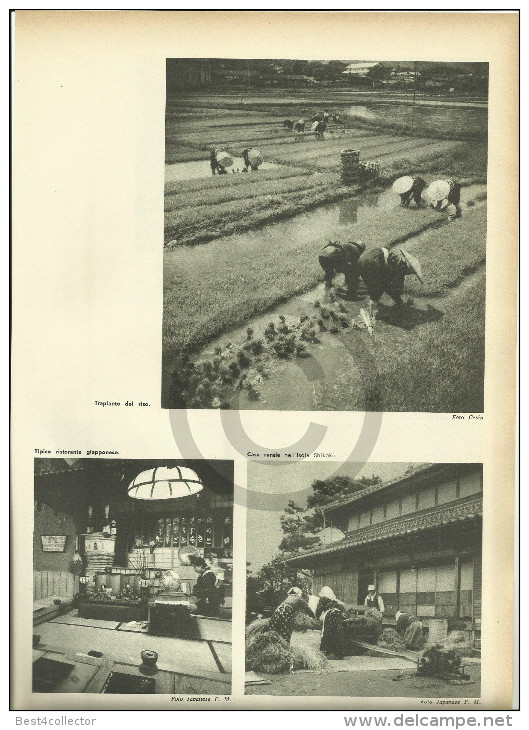 @@@ Giappone, JAPAN (part 2) Related 4 Pages With Photos Out Of  1959 Printed Book - Other & Unclassified