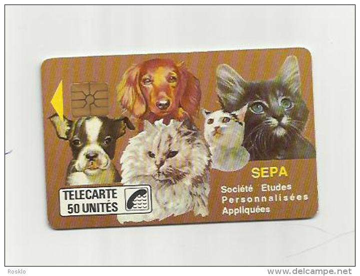 TELE CARTE / SEPA STE ETUDES PERSONNALISEES APPLIQUEES / TETES CHIEN ET CHAT / TIRAGE 1000 EX - Jetons