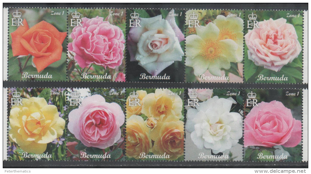 BERMUDA ,2014, MNH, FLORA, FLOWERS, ROSES, 10v, - Roses