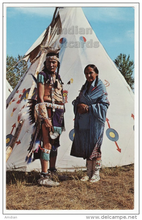 CHIEF CHASING HAWK AND WIFE ~NATIVE AMERICANS~ SIOUX INDIANS~ca 1960s Postcard [5816] - Amerika