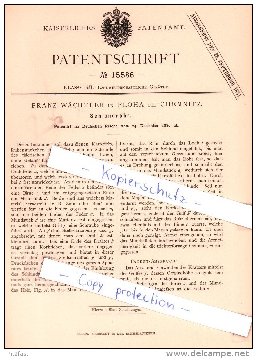 Original Patent - Franz Wächtler In Flöha Bei Chemnitz , 1880 ,  Schlundrohr !!! - Floeha
