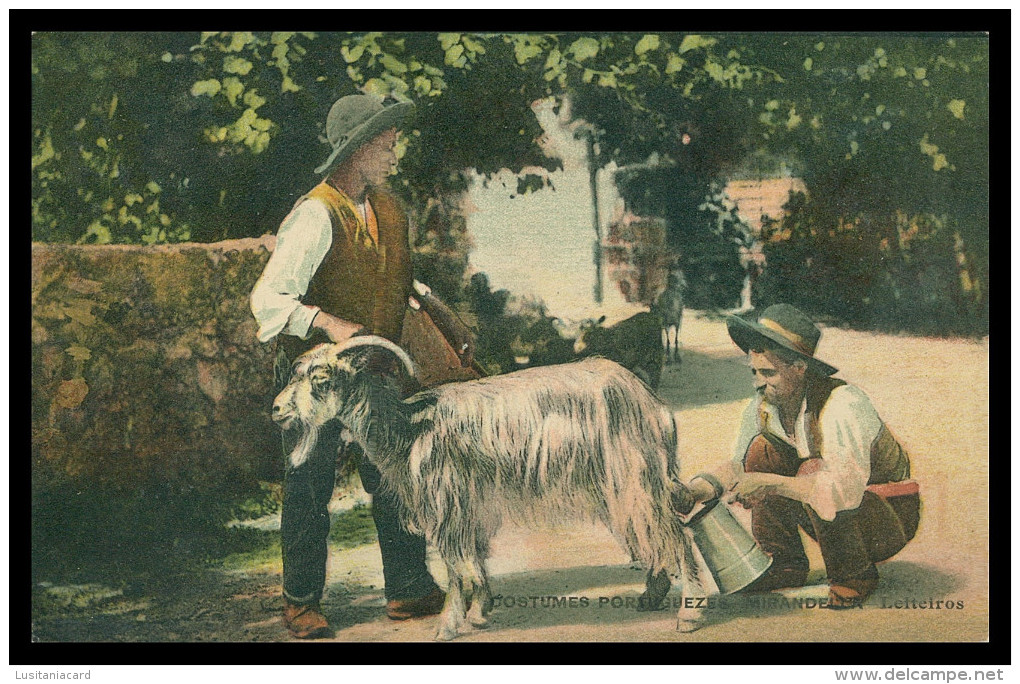 MIRANDELA -COSTUMES - Leiteiros   Carte Postale - Bragança