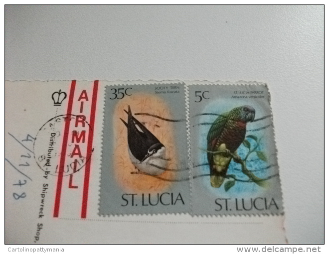 STORIA POSTALE FRANCOBOLLO COMMEMORATIVO UCCELLO BIRD ST LUCIA  WEST INDIES CARIBLUE - Santa Lucia