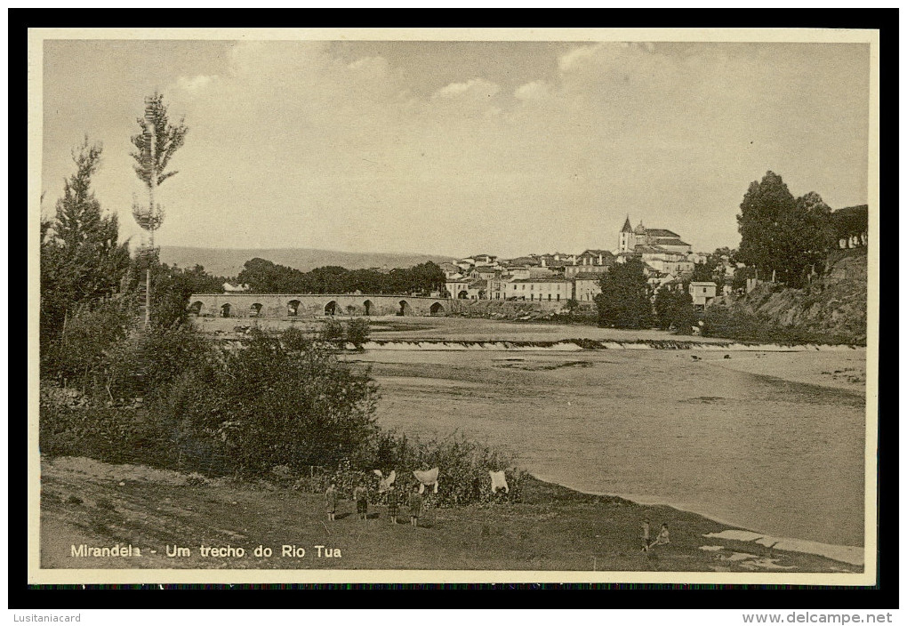 MIRANDELA - Um Trecho Do Rio Tua ( Ed. António Adelino Martins) Carte Postale - Bragança