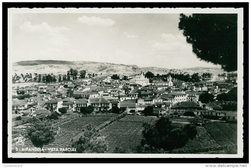 MIRANDELA - Vista Parcial ( Ed. João Batista Martins Nº 3) Carte Postale - Bragança