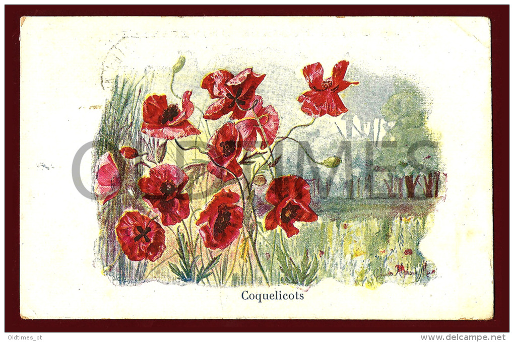 FRANCE - COQUELICOTS - LEVURINE EXTRACTIVE COUTURIEUX - 1910 ADVERTISING PC - Publicidad