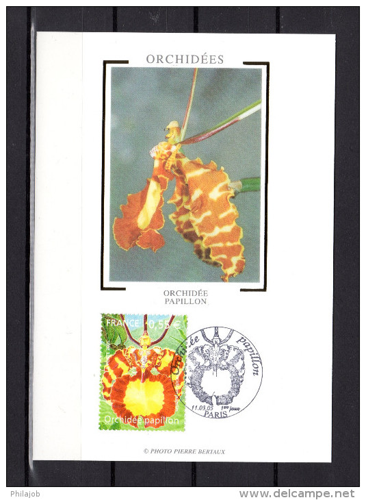 Carte Maximum En Soie De 2005 N° YT 3765 " ORCHIDEE PAPILLON " En Parfait état. CM - Orchidées