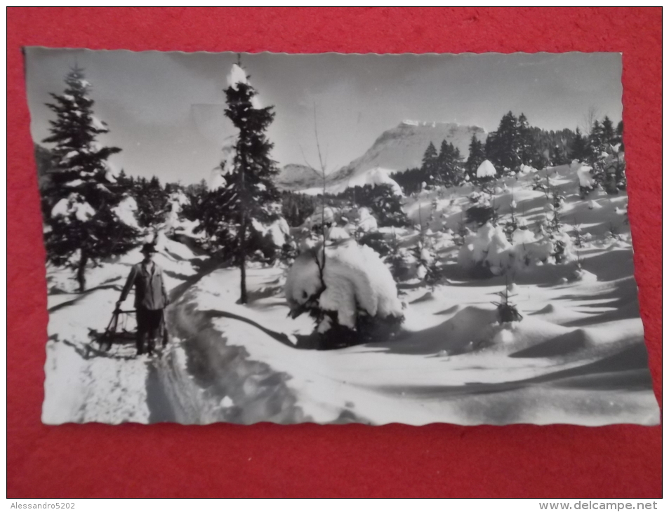 Fribourg  Les Paccots S. Chatel St. Denis 1964 - Châtel-Saint-Denis