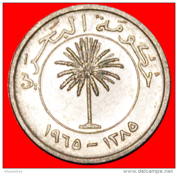 * GREAT BRITAIN: BAHRAIN ★ 50 FILS 1385-1965! PALM LOW START &#9733; NO RESERVE! - Bahreïn