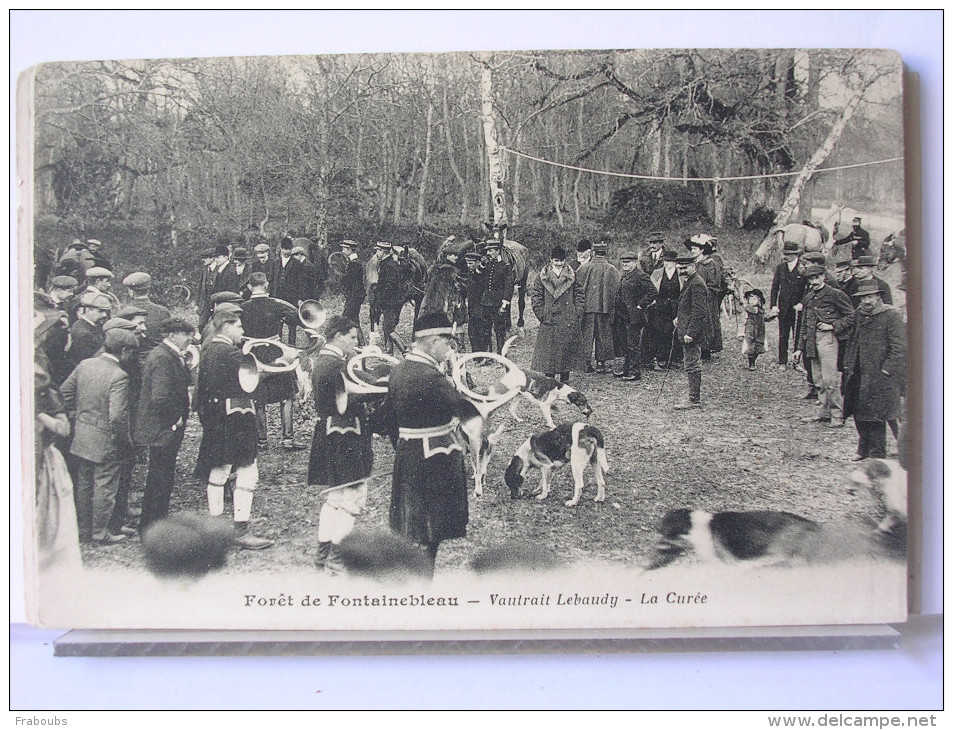 77 - CHASSE A COURRE EN FORET DE FONTAINEBLEAU - VAUTRAIT LEBAUDY - LA CUREE - Fontainebleau