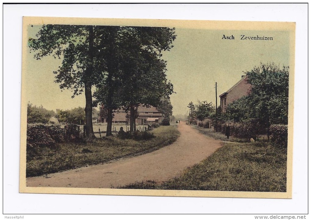 Asch Zevenhuizen - As