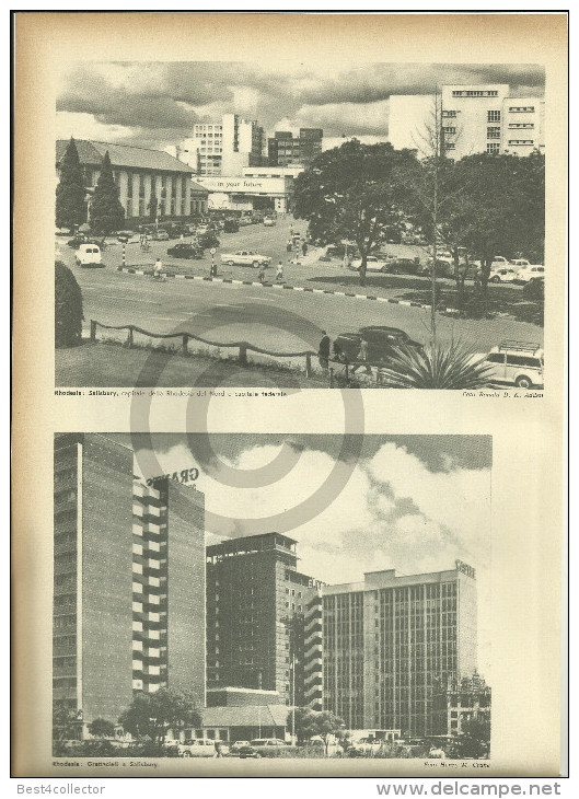 @@@ Rhodesia - Niassa Related 4 Pages With Photos Out Of  1959 Printed Book - Autres & Non Classés