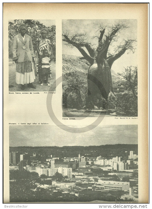 @@@ Rhodesia - Niassa Related 4 Pages With Photos Out Of  1959 Printed Book - Autres & Non Classés
