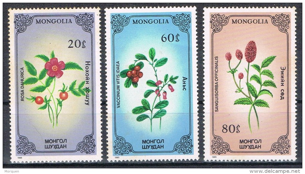 R 978. Sellos MONGOLIA, Plantas Medicinales , Flowers 1985 ** - Plantas Medicinales
