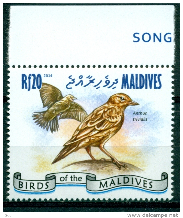 Maldives 2014 " Hors Série - Pipit Des Arbres " Mnh*** - Uccelli Canterini Ed Arboricoli