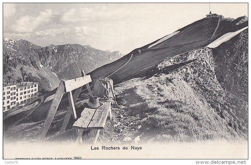 Suisse - Rochers De Naye - Editeur Louis Burgy - Roche