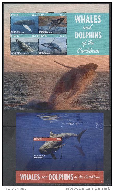 NEVIS, 2014 , MNH, WHALES , DOLPHINS, HUMPBACK WHALES, LOVELY PHOTOS!,  SHEETLET + S/SHEET - Ballenas