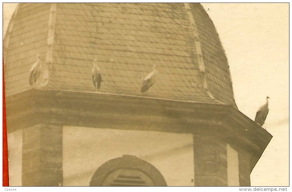 Rare CPA CARTE-PHOTO A. D. Mauermann 67 HATTMATT Bas-Rhin Attroupement Cigognes Sur Toit De L' Eglise ALSACE - Otros & Sin Clasificación