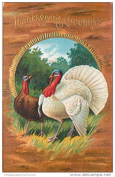 107779-Thanksgiving, Nash Series No 20-3, Tom Turkey With Hen Turkey, Embossed Litho - Giorno Del Ringraziamento