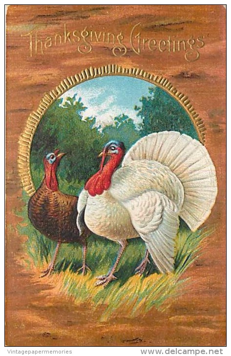 107779-Thanksgiving, Nash Series No 20-3, Tom Turkey With Hen Turkey, Embossed Litho - Thanksgiving