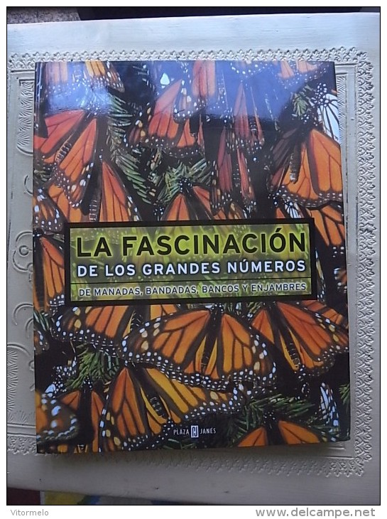 PHOTO PHOTOGRAPHY ART BOOK - LA FASCINACION DE LOS GRANDES NUMEROS SPANISH - Fotografie