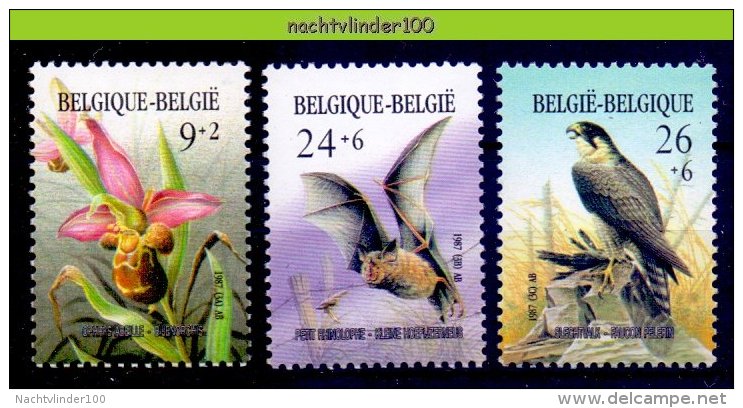 Mfy017 FAUNA VOGELS VLEERMUIZEN BATS CHAUVE SOURIS FLOWERS PROTECTION BIRDS VÖGEL AVES OISEAUX BELGIË 1987 PF/MNH - Vleermuizen