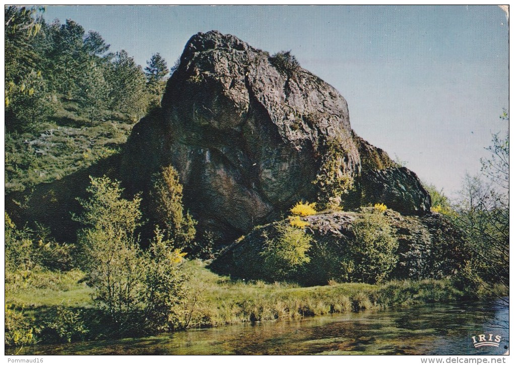 CPM Le Rocher Du Sauvage Entre Tarnac Et Nedde, à Rempnat - Other & Unclassified