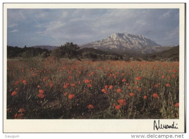 CPM - Photo ALESSANDRI - Provence - Ste Victoire : Hommage à Cézanne - Edition A.J.E.A. / N°87-136 - Autres & Non Classés