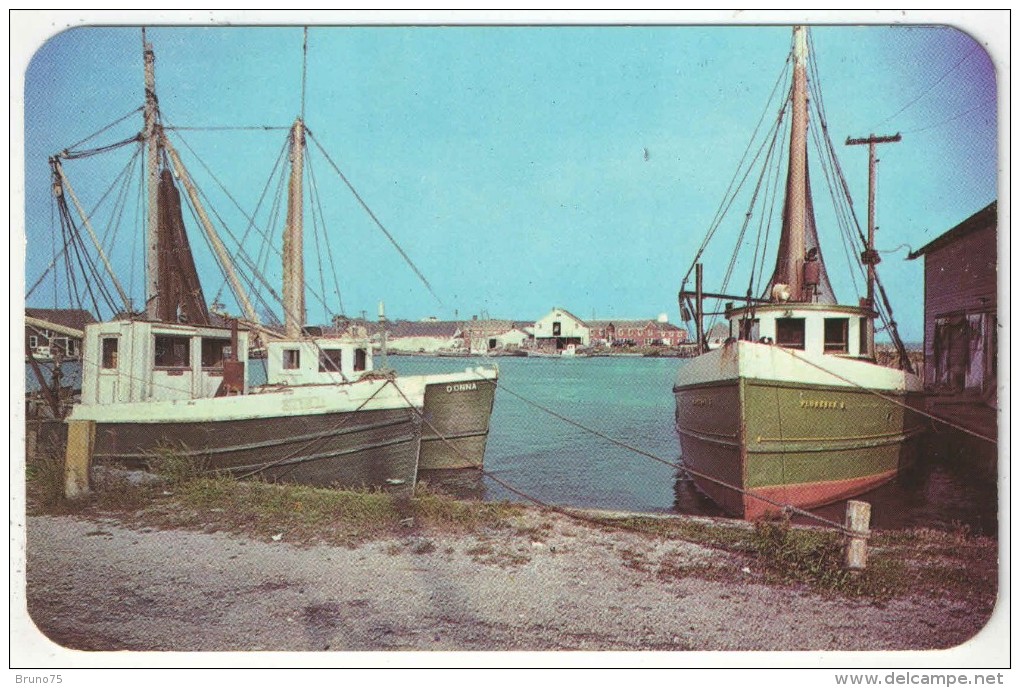 Fishing Vessels In Port, West Sayville, Long Island, N.Y. - Long Island