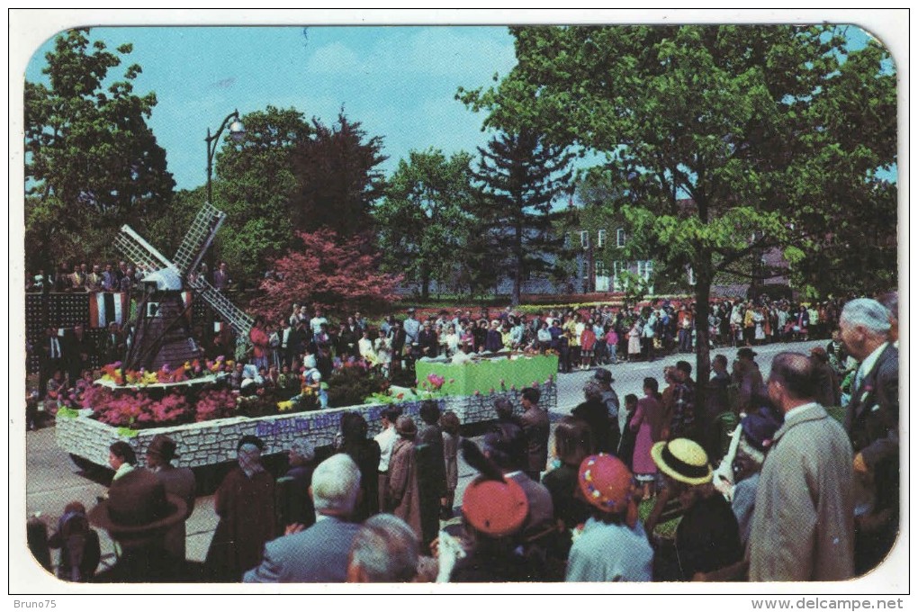 The Tulip Festival, Long Island, N.Y. - Long Island