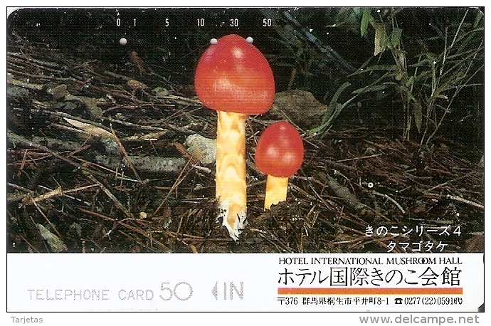 TARJETA DE JAPON DE UNAS SETAS (MUSHROOM-SETA-HONGO) (110-35238) - Japon