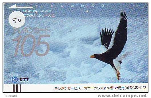EAGLE - AIGLE - Adler - Arend - Águila - Bird - Oiseau (50 - Eagles & Birds Of Prey