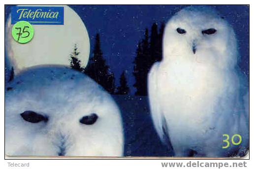 HIBOU Owl EULE Uil  Telecarte (75) - Adler & Greifvögel