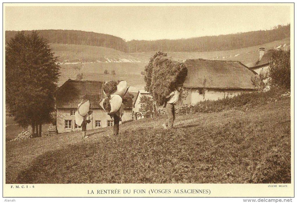 La Rentrée Du Foin Dans Les VOSGES ALSACIENNES (Braun) - Autres & Non Classés