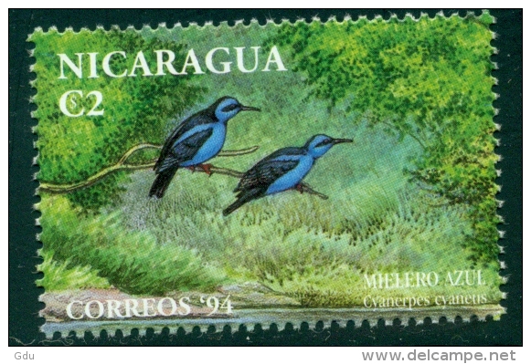 Nicaragua 1994 ( Hors Série : Guit-guit Saï ) Mnh*** - Pájaros Cantores (Passeri)