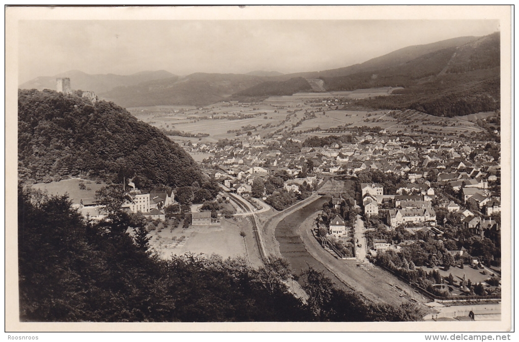 CP WALDKIRCH ALLEMAGNE VUE GENERALE BLICK IN ELZTAL - Waldkirch